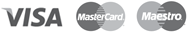 Payment Card Icons